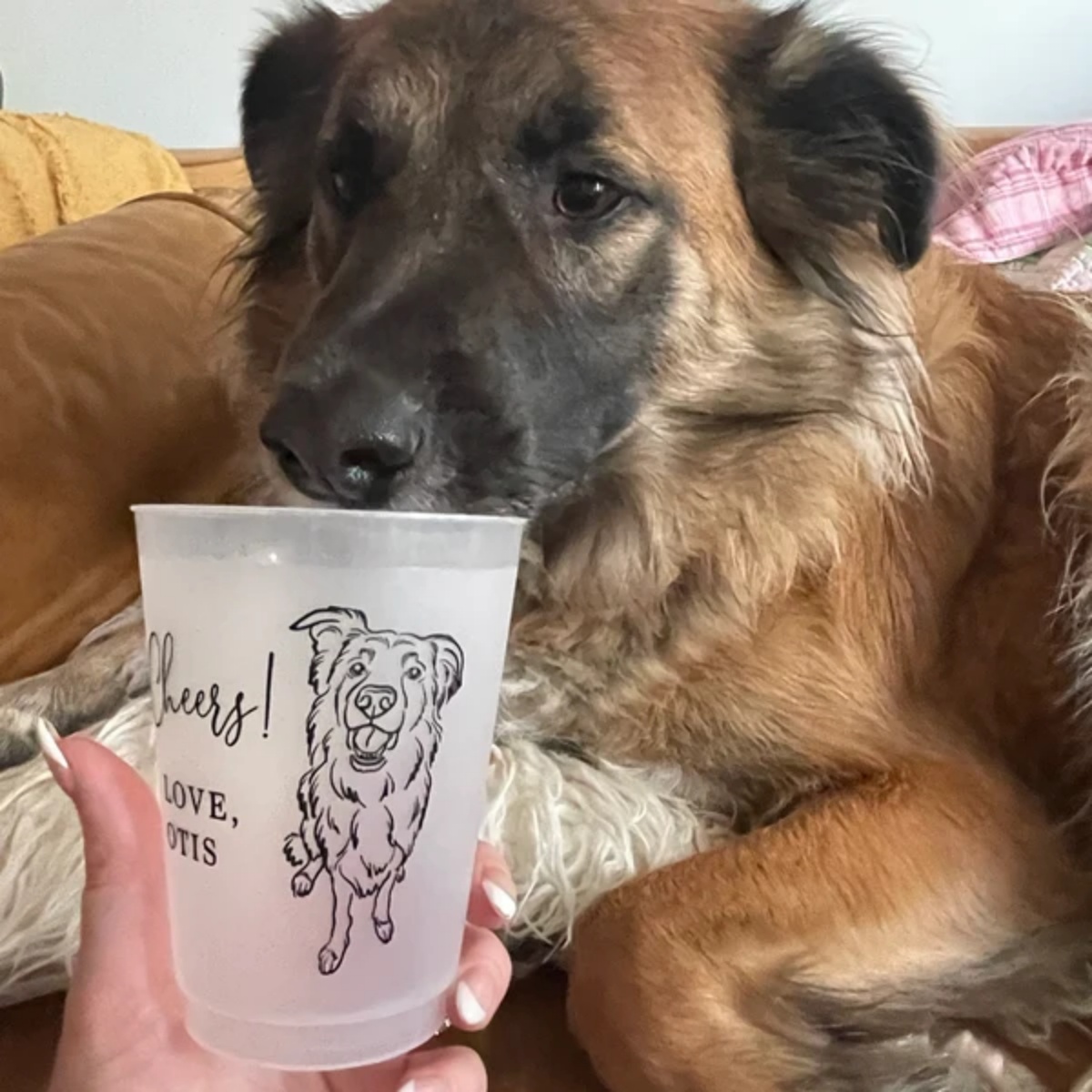 10/50개 개인 맞춤형 헛간 웨딩 장소용 반투명 플라 - Plastic Cup 50Pcs 리뷰 및 가격