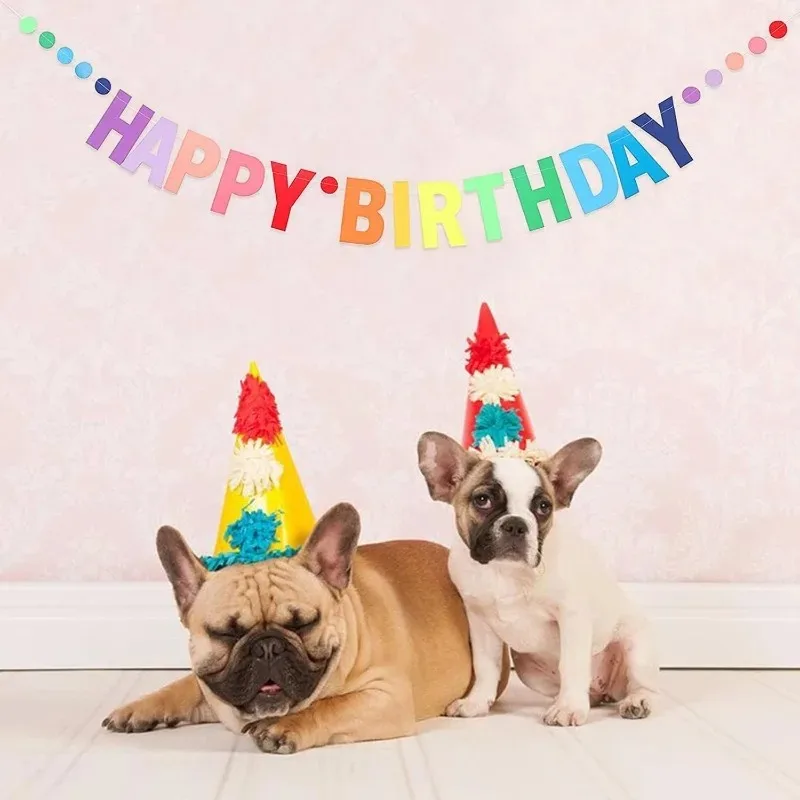 성인, 어린이, 소녀, 여성용 생일 축하 배너, 무지개 - Party Banner Gold 리뷰 및 가격